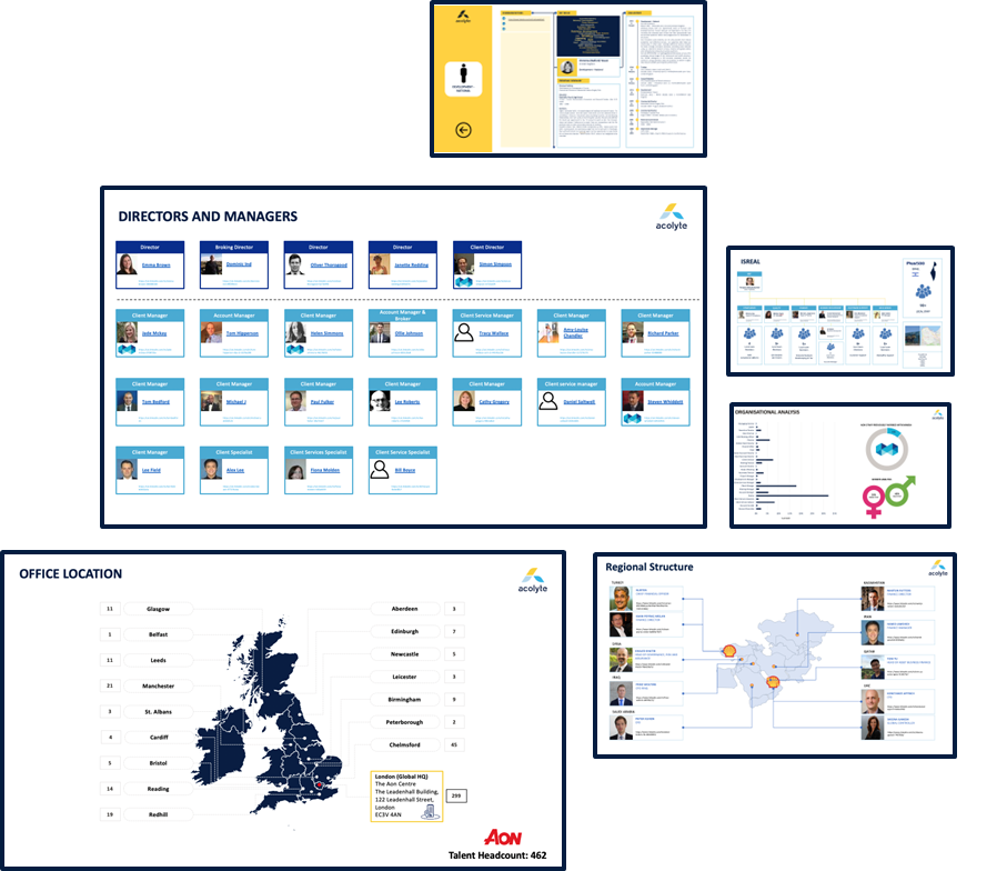 organisational mapping screens
