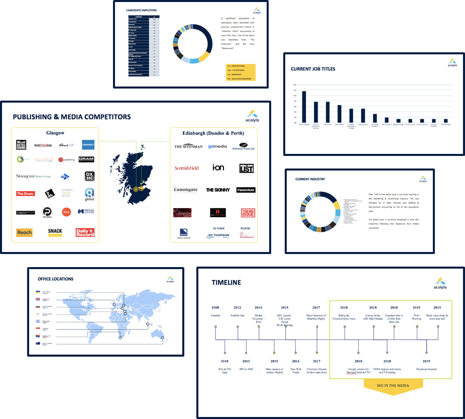 strategic talent mapping screenshots